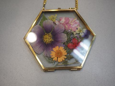 Pressed, dried, colorful flowers in a clear frame