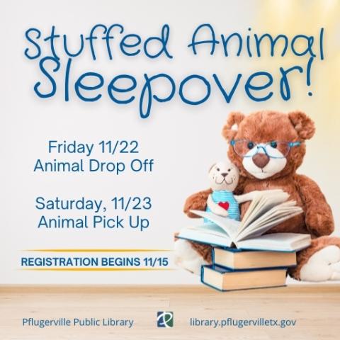 Stuffed Teddy Bear flyer 