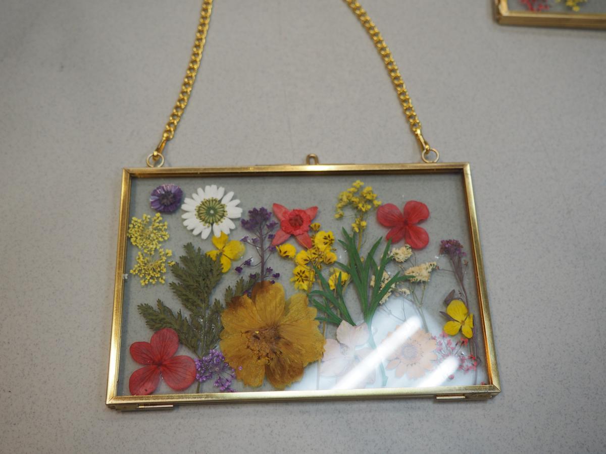 Pressed, dried, colorful flowers in a clear frame