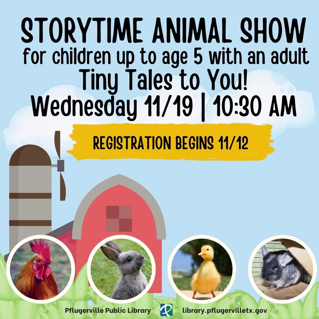 animals in front of barn